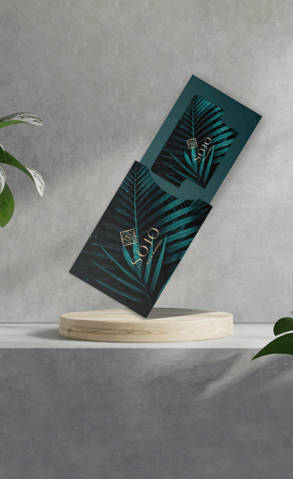 Card Sleeves with Insert (Arch Cutout) - Design & Print - Creative Plastic Cards Card Sleeves with Insert (Arch Cutout) - Design & Print - Creative Plastic Cards