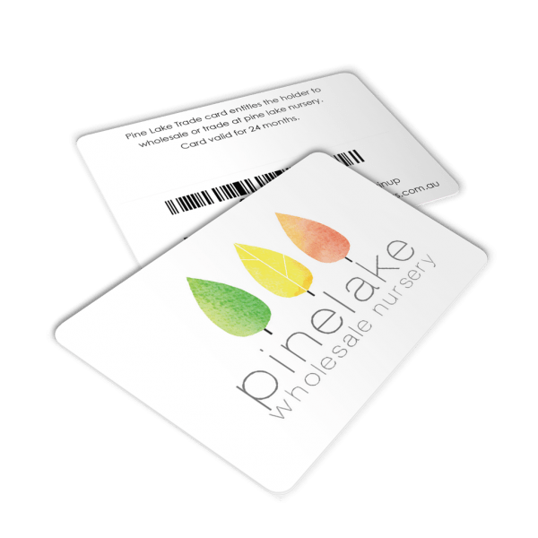 Plastic Discount Cards - Pinelake Nursery