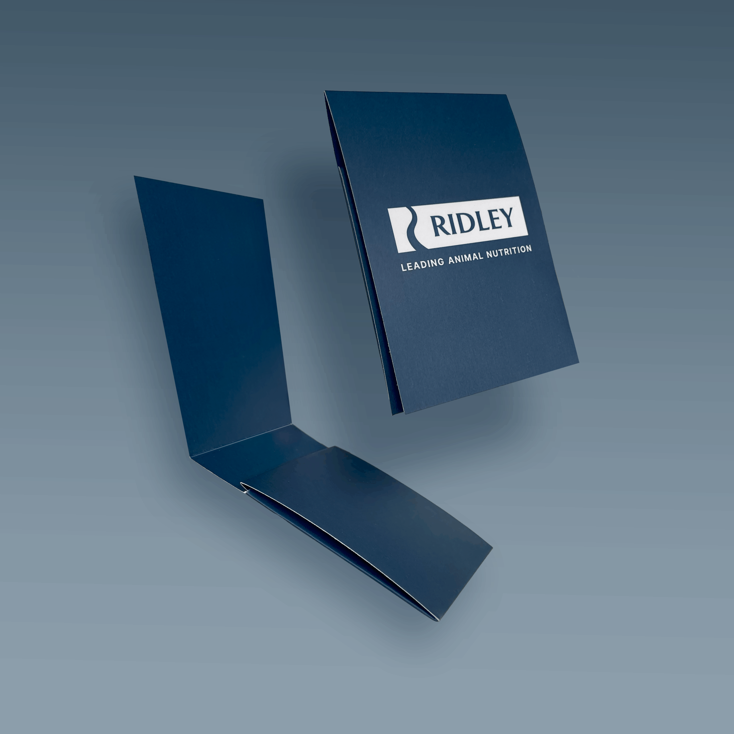 Mini Envelope Card Sleeve - Image 2